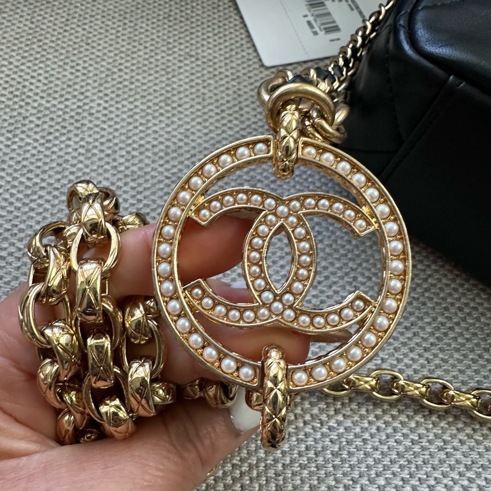 Chanel Camera Case - Picture 15 of 16